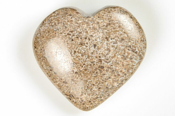 Polished Dinosaur Bone (Gembone) Heart - Morocco #198489